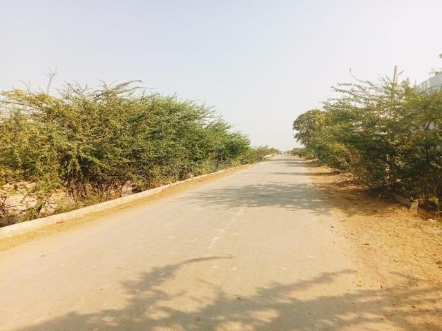 Residential Plot in Old Faridabad for resale Faridabad. The reference number is 11964205