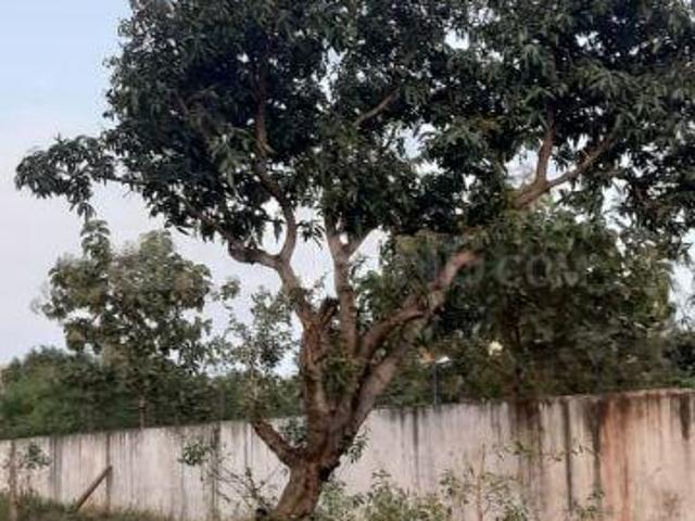 Residential Plot in Avadi for resale Chennai. The reference number is 5925016