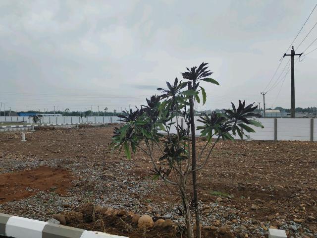 Residential Plot in Avadi for resale Chennai. The reference number is 19672717