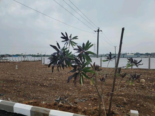 Residential Plot in Avadi for resale Chennai. The reference number is 20113844