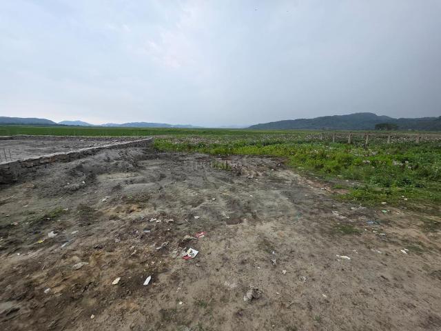 Residential Plot in Azara for resale Guwahati. The reference number is 19961905