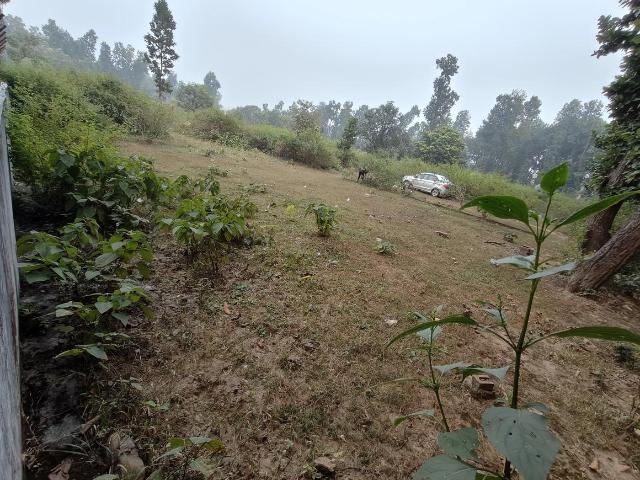 Residential Plot in Tapovan Enclave Tarla Amwala for resale Dehradun. The reference number is 18547435