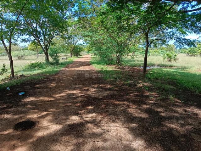 Residential Plot in Acharapakkam for resale Chennai. The reference number is 16599869
