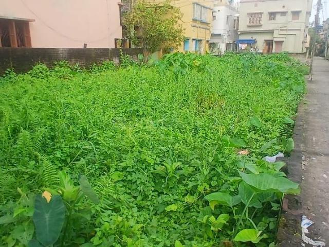 Residential Plot in Agarpara for resale Kolkata. The reference number is 18359458