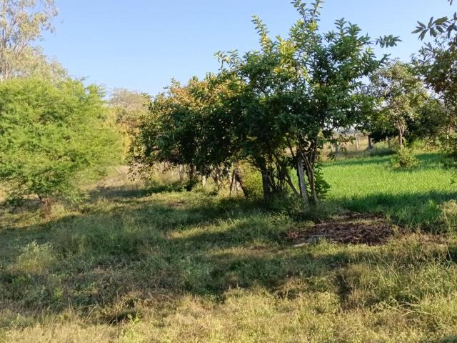 Residential Plot in Airport Road for resale Bhopal. The reference number is 19014564