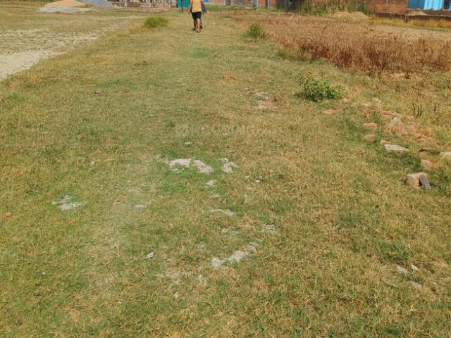 Residential Plot in Akhari for resale Varanasi. The reference number is 20282248
