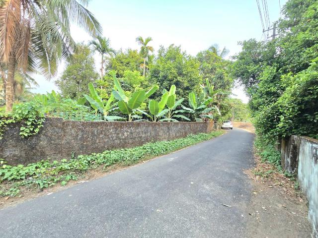 Residential Plot in Alangad for resale Kochi. The reference number is 20068391