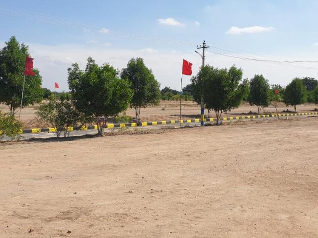 Residential Plot in Alair for resale Yadadri Bhuvanagiri. The reference number is 20067656