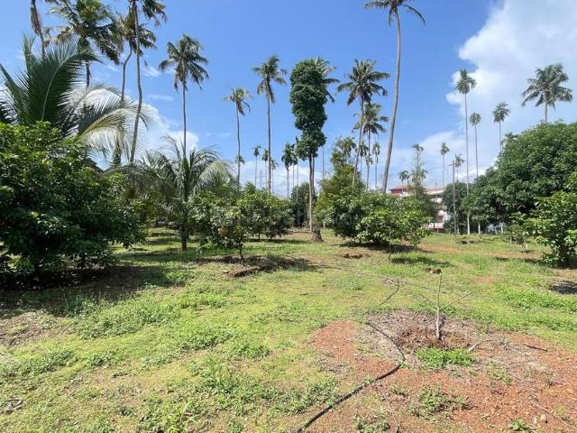 Residential Plot in Aluva for resale Aluva. The reference number is 17472805