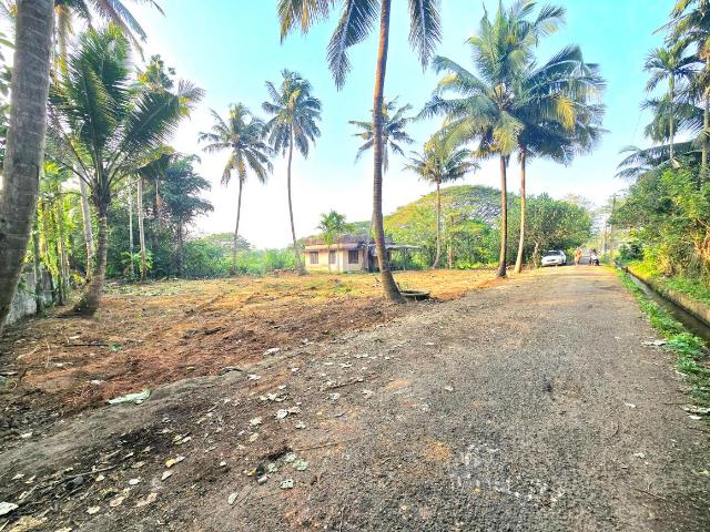 Residential Plot in Aluva for resale Kochi. The reference number is 19068825