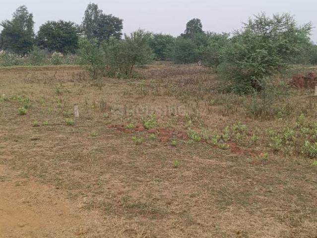 Residential Plot in Amleshwar for resale Raipur. The reference number is 16026879