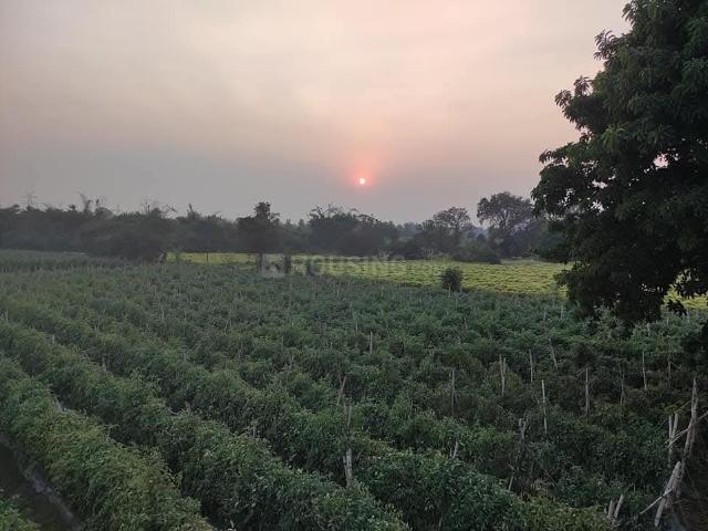 Residential Plot in Amleshwar for resale Raipur. The reference number is 20722529