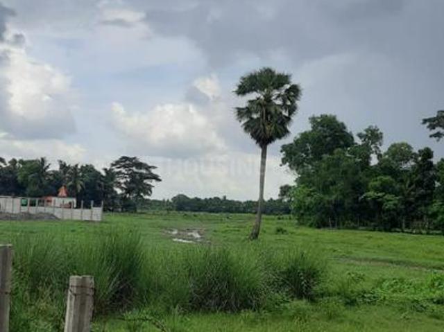Residential Plot in Amtala for resale Kolkata. The reference number is 16247459