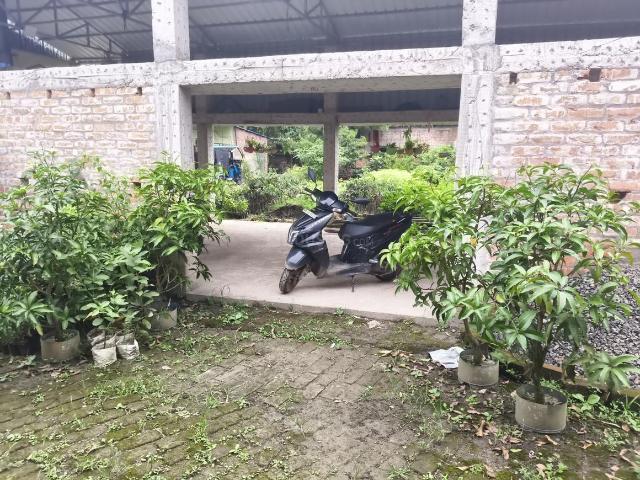 Residential Plot in Amtala for resale Kolkata. The reference number is 17978417