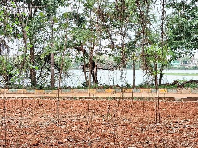 Residential Plot in Anantapura for resale Bengaluru. The reference number is 20338988