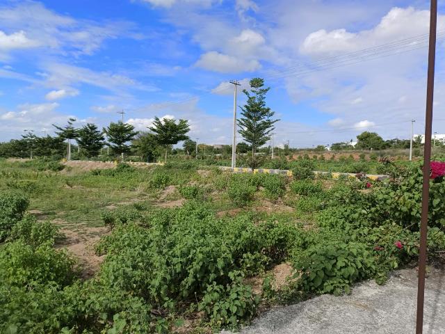 Residential Plot in Anantharam for resale Hyderabad. The reference number is 14946007