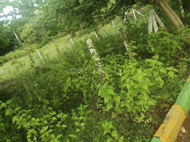 Residential Plot in Anandapuram for resale Visakhapatnam. The reference number is 12616008