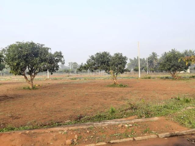 Residential Plot in Anandapuram for resale Visakhapatnam. The reference number is 20047522