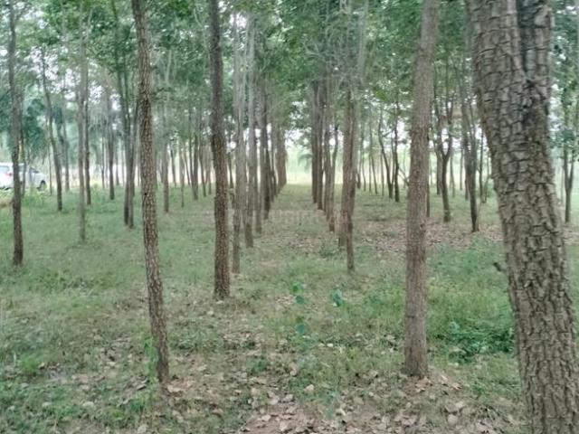 Residential Plot in Anandapuram for resale Visakhapatnam. The reference number is 20400950