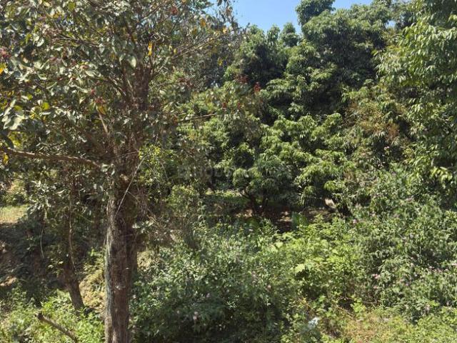 Residential Plot in Anarwala for resale Dehradun. The reference number is 20614135