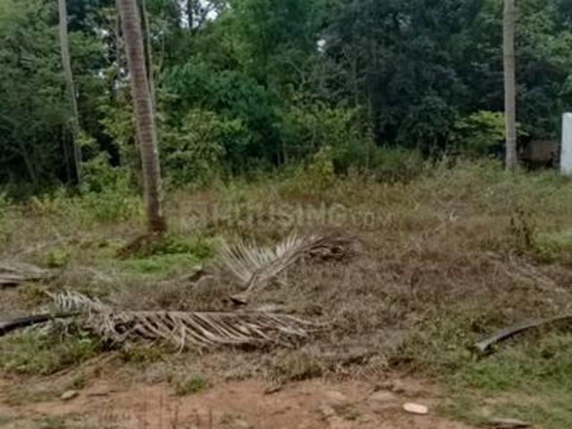 Residential Plot in Angamaly for resale Kochi. The reference number is 20073608