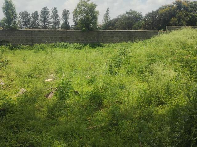 Residential Plot in Anekal for resale Bengaluru. The reference number is 17535668