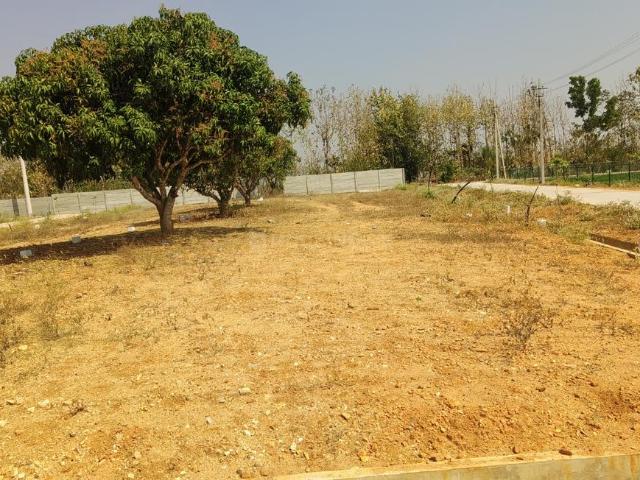 Residential Plot in Ankanahalli for resale Mysore. The reference number is 14491606