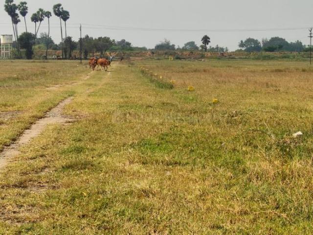 Residential Plot in Arakkonam for resale Ranipet. The reference number is 20965402