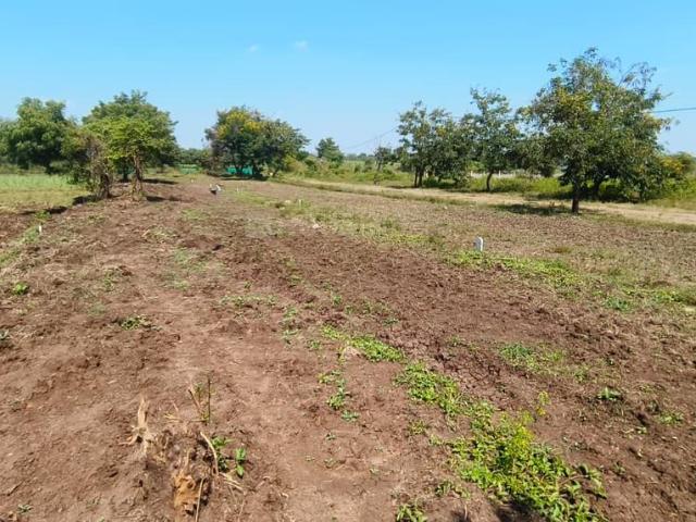 Residential Plot in Asha Nagar for resale Nashik. The reference number is 20641220