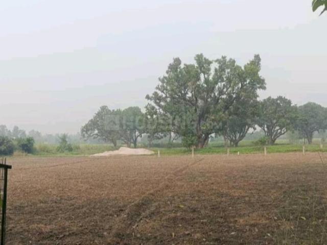 Residential Plot in Ashapur Village for resale Ayodhya. The reference number is 20408374