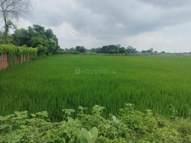 Residential Plot in Ashapur Village for resale Ayodhya. The reference number is 20919360