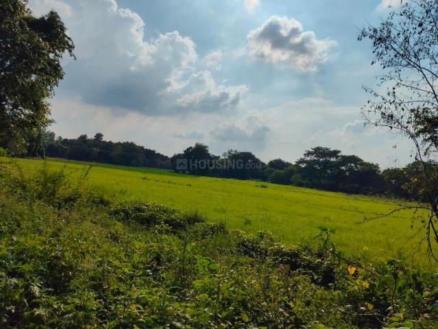 Residential Plot in Ashapur Village for resale Ayodhya. The reference number is 20919396