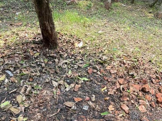 Residential Plot in Budge Budge for resale Kolkata. The reference number is 20558208