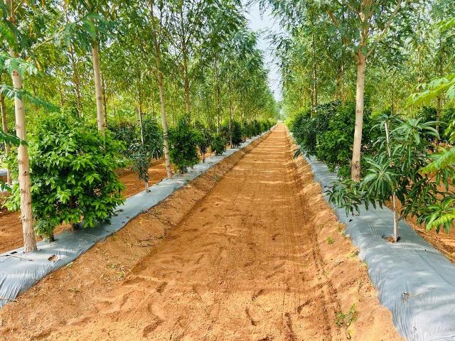 Residential Plot in Bachannapet for resale Jangaon. The reference number is 15391403