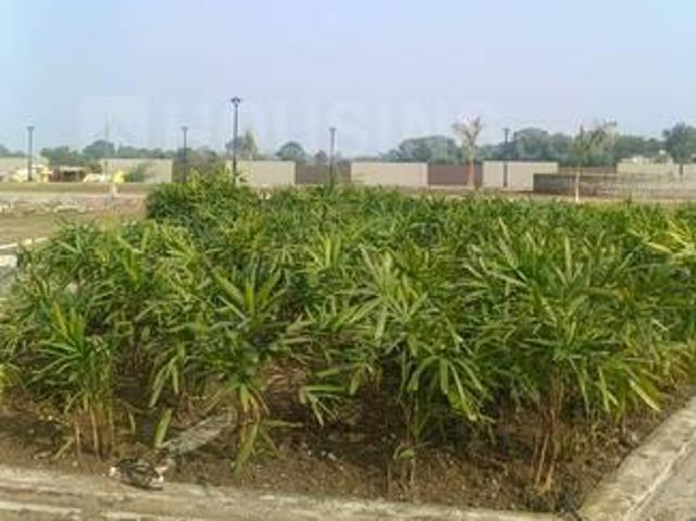 Residential Plot in Bada Bangarda for resale Indore. The reference number is 20420491