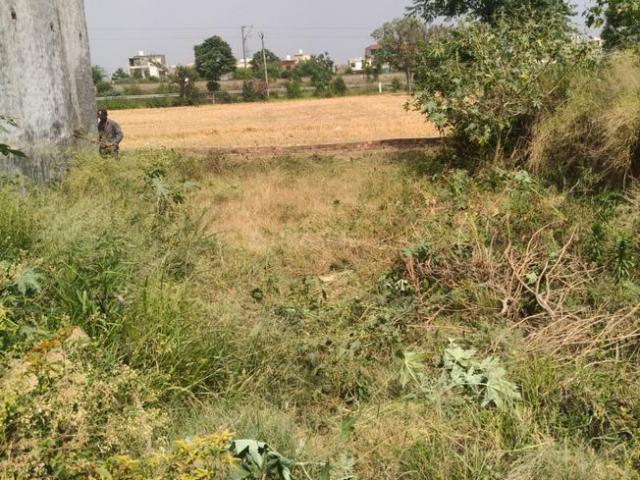 Residential Plot in Badali for resale Mohali. The reference number is 20633873