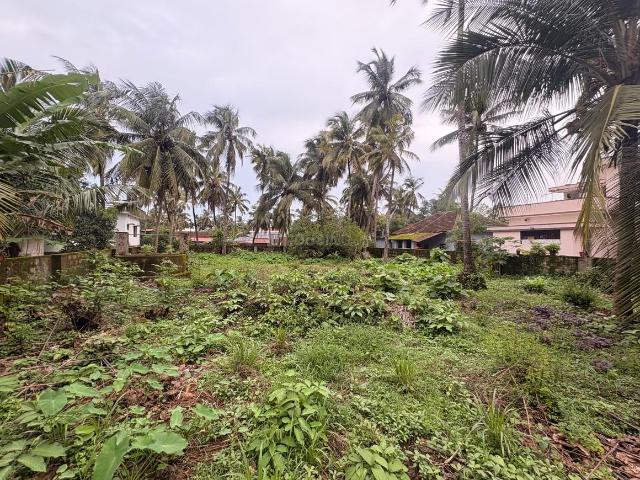 Residential Plot in Bailoor for resale Udupi. The reference number is 20920489