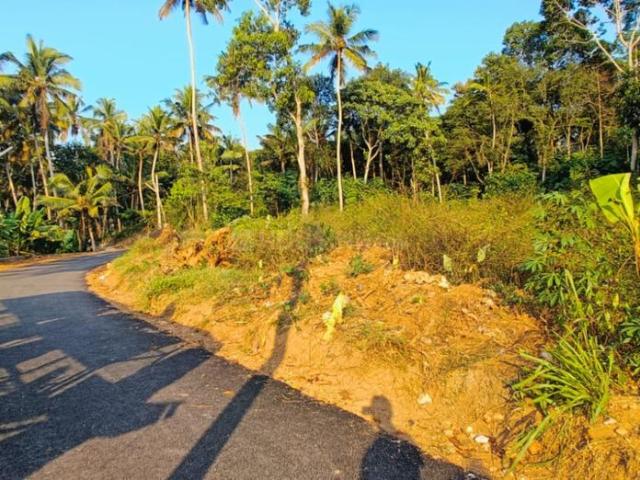 Residential Plot in Balaramapuram for resale Thiruvananthapuram. The reference number is 20294584