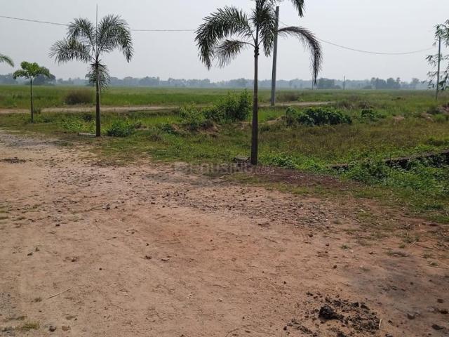 Residential Plot in Balianta for resale Bhubaneswar. The reference number is 15797102