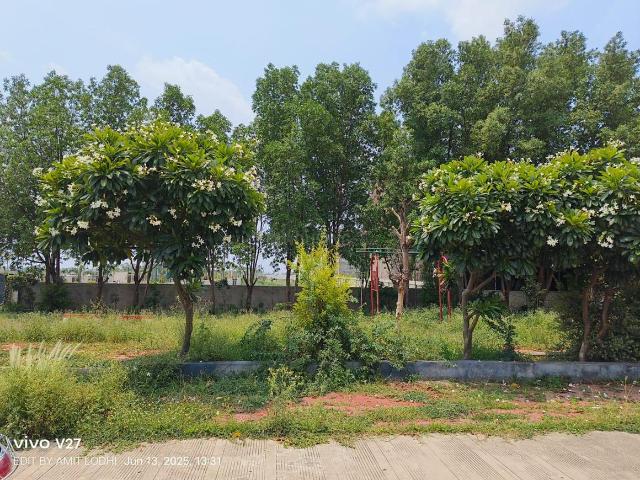 Residential Plot in Balya Kheda for resale Indore. The reference number is 18232056
