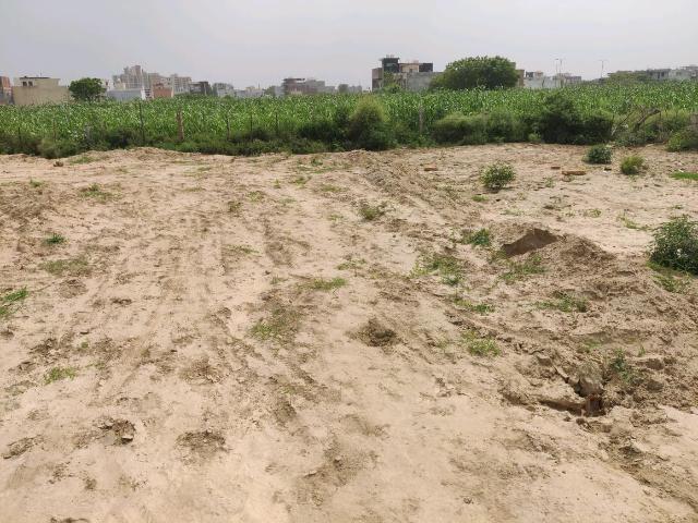 Residential Plot in Bamheta Village for resale Ghaziabad. The reference number is 20710114
