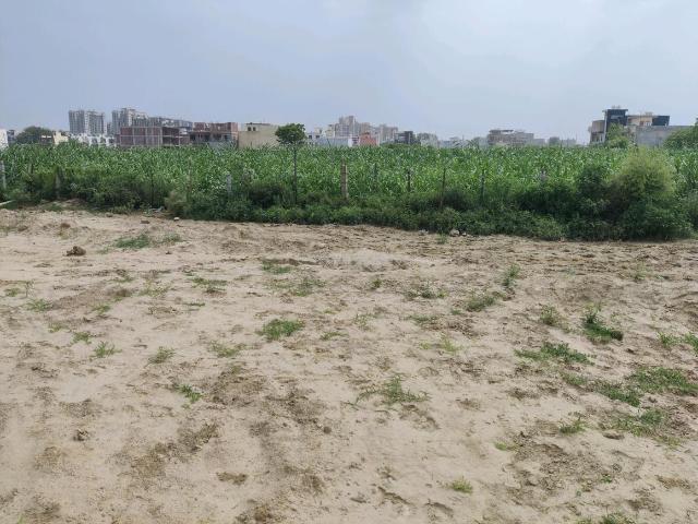 Residential Plot in Bamheta Village for resale Ghaziabad. The reference number is 20710132