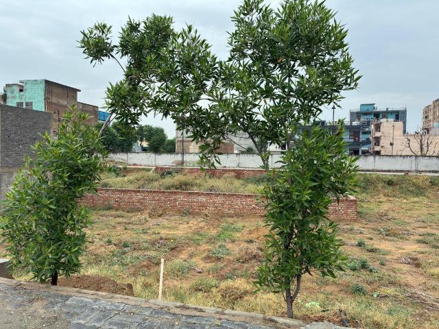 Residential Plot in Banbeerpur for resale Bhiwadi. The reference number is 20607398