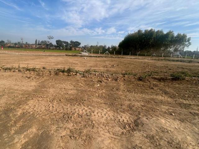 Residential Plot in Baronwala for resale Shimla Bypass Road. The reference number is 16764255