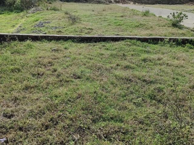 Residential Plot in Baronwala for resale Shimla Bypass Road. The reference number is 17432723