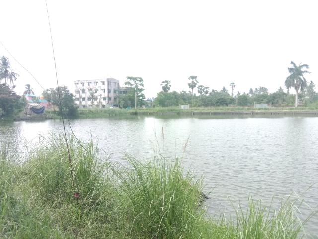 Residential Plot in Bara Gagan Gohalia for resale Kolkata. The reference number is 20424310