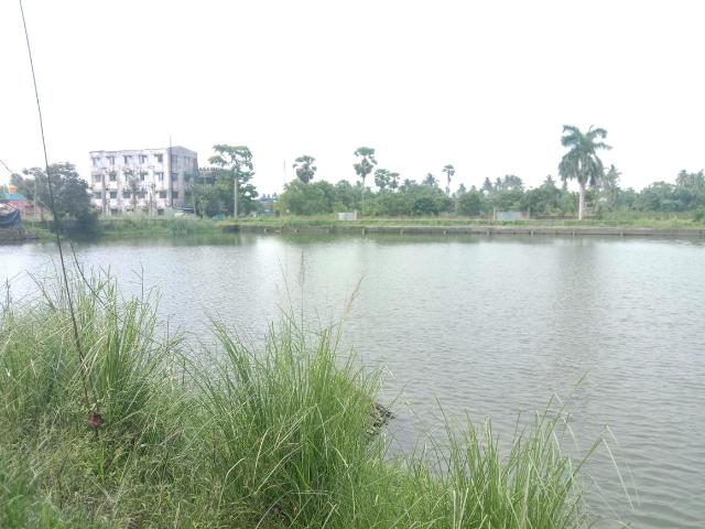 Residential Plot in Bara Gagan Gohalia for resale Kolkata. The reference number is 20424377
