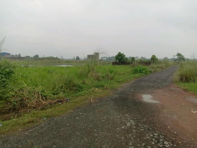 Residential Plot in Bara Gagan Gohalia for resale Kolkata. The reference number is 20424396