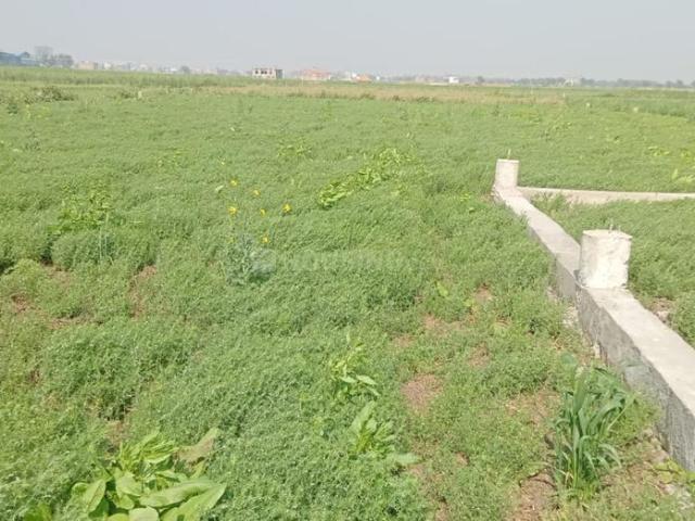 Residential Plot in Bari Pahari for resale Patna. The reference number is 16159164
