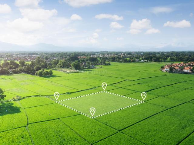 Residential Plot in Barsana for resale Mathura. The reference number is 20955830